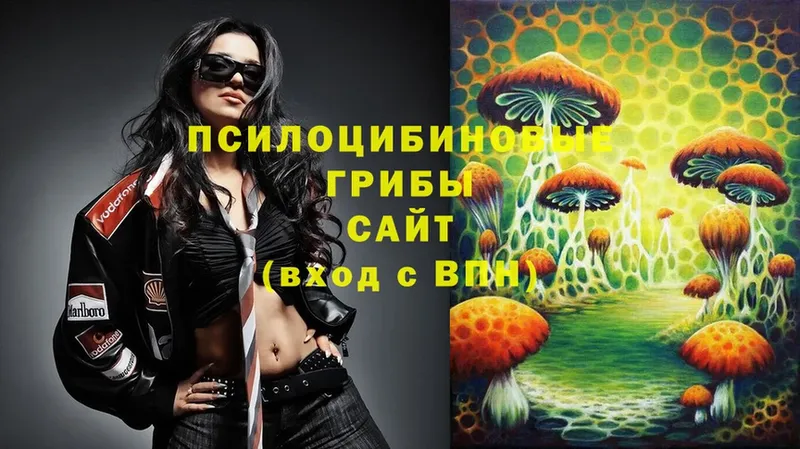 Галлюциногенные грибы Psilocybine cubensis  Никольское 