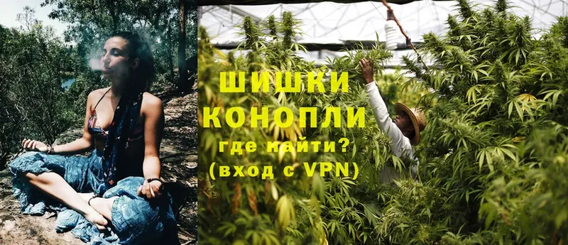 Бошки марихуана Ganja  маркетплейс наркотические препараты  Никольское  дарнет шоп 